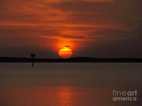 Flaming Orb Photograph By Marilee Noland Fine Art America