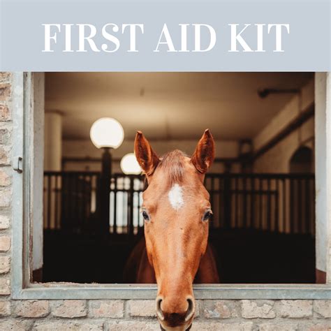 Equine First Aid Kit Essentials Lumiere Equestrian