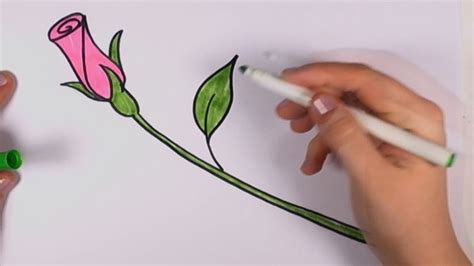How To Draw A Rose For Beginners Pink Rose Bud Art Tutorial Cc Youtube
