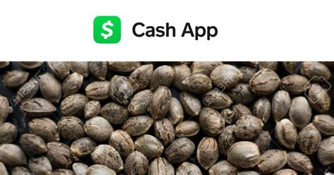 Before you start trading cheap stocks, you need a few pointers. Best Seed Banks That Accept Cash App - 2020 - BudInformer.com