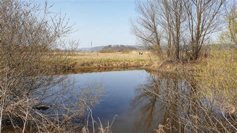 Jezero Na Barju Jezera Slovenije Moja Jezera