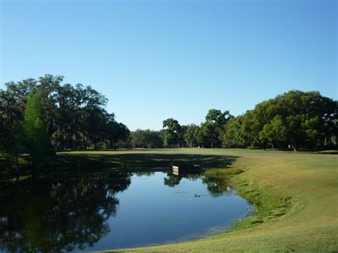 Temple Terrace Country Club Tiger Golf Traveler