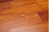Photos of Repairing Scratched Bamboo Floors