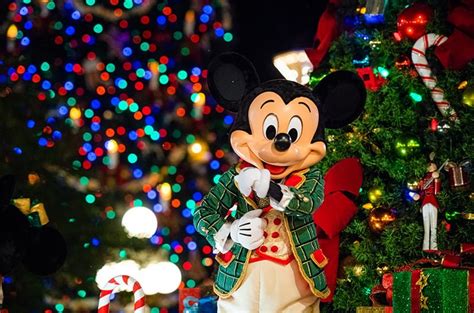 December 2019 At Disney World Disney Tourist Blog