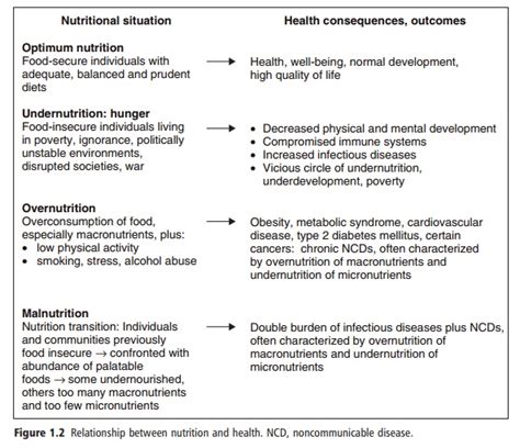 Relationship Between Nutrition And Health