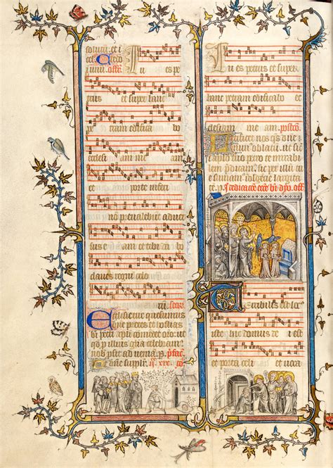Vanda · Illuminated Manuscripts