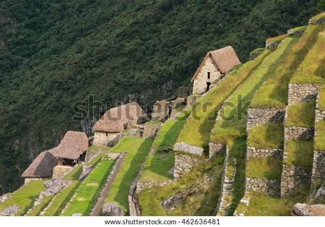 Agricultural Stone Terraces Machu Picchu Peru Stock Photo 462636481