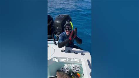 Spearfishing Grouper Bahamas Youtube