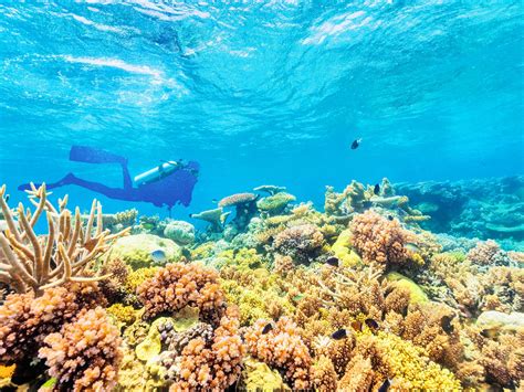 The Great Barrier Reef Marine Park Australias Natural Wonder