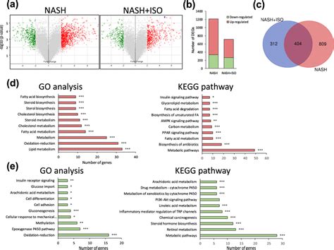 Hepatic Gene Expression Profile In Nash And Nash Iso Group Compared Download Scientific