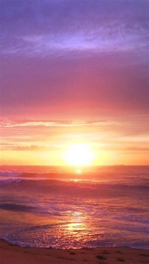 Rosa Bild Rose Gold Iphone 7 Beach Sunset Wallpaper