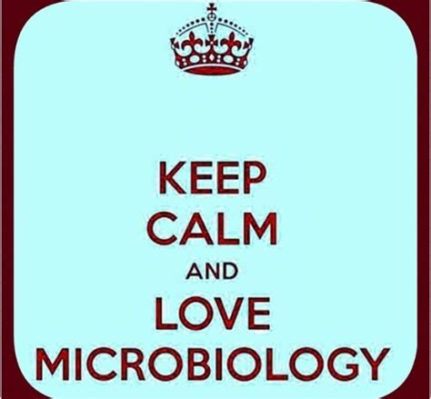 Pin By Mayra Rolon On Capítulo Microbiología Usc Calm Keep Calm And