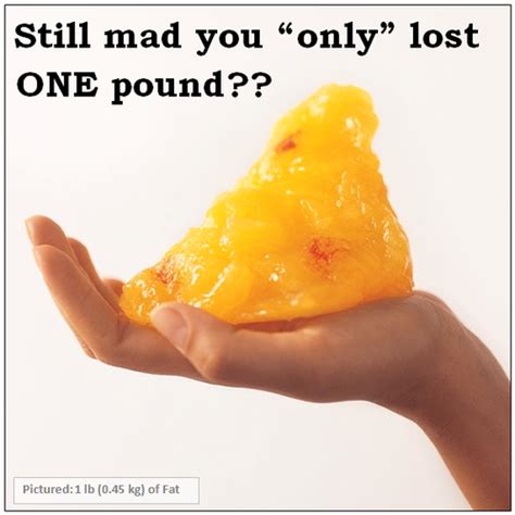 One Pound Of Fat 3 Fat Chicks On A Diet Weight Loss Community