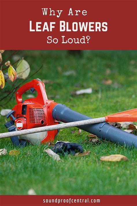 Why Are Leaf Blowers So Loud Blowers Leaf Blowers Noise Sensitivity