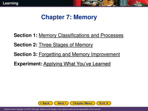 Chapter 7 Memory Section 1 Memory Classifications And Processes Ppt