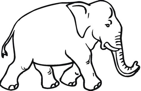 √ 20+ sketsa gambar hewan gajah yang mudah. 13+ Sketsa Gambar Gajah Terbaik dan Terlengkap