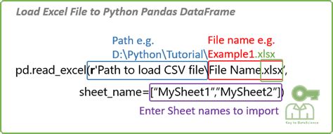 Python Read Xlsx File Into Dataframe Shawn Woodard S Reading Worksheets