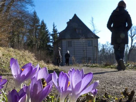 Vol.at vol.at | nachrichten aus vorarlberg, österreich und der welt. Wetter in Vorarlberg: Frühling hält leider nur bis Samstag ...