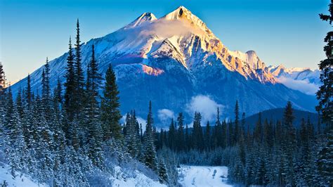 Snowy Canadian Rockies Wallpaper Backiee