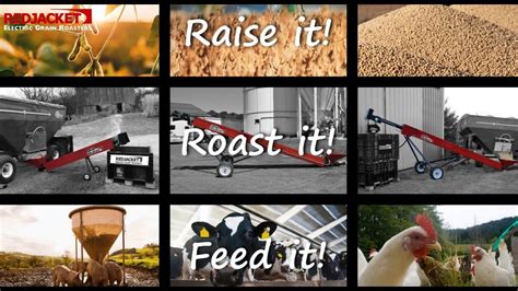 Benefits Of Feeding Roasted Soybeans To Your Dairy Cows Redjacket Electric Grain Roasters