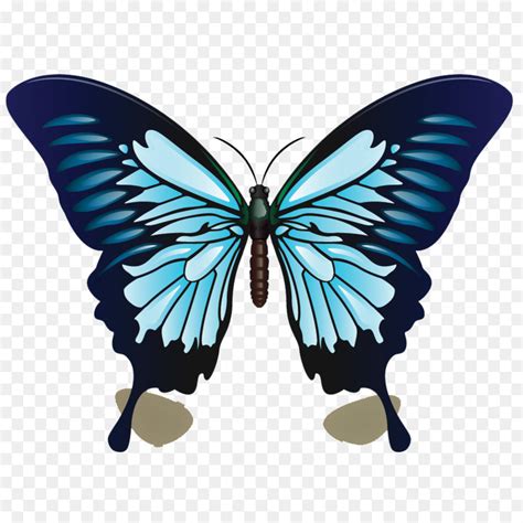 Collection by jenifer racquet • last updated 7 weeks ago. Ulysses Butterfly Color Blue Drawing Borboletas Image ...
