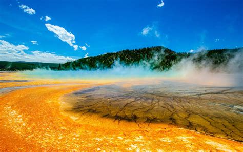 100 interesting facts about yellowstone national park
