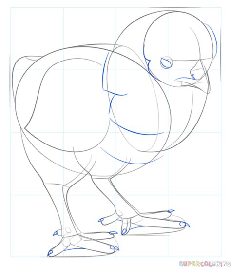 How To Draw A Baby Chick Step By Step Drawing Tutorials