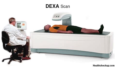 Dexa Scan Preparation Procedure Guidelines Results Interpretation