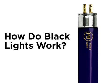 How Do Black Lights Work — 1000bulbs Blog