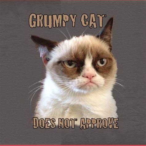 The Instant Cat Meme Grumpy Cat Mental Floss