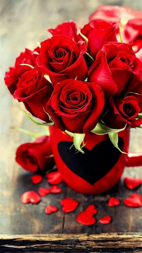 May 22, 2020 · darcey rose is the brightest red colour in the bud and opens to a raspberry red colour and then develops rich purple tone as it ages. The Best Beautiful Red Rose Bouquet Hd Wallpaper And ...