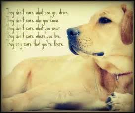 Poems And Quotes About Dogs Quotesgram