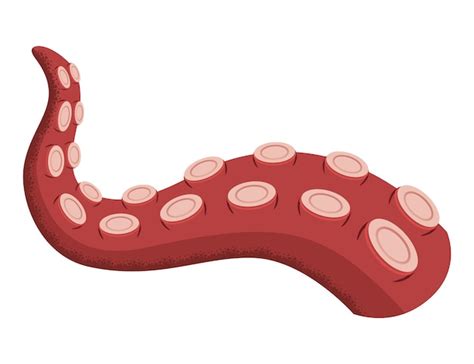 Tentáculo de pulpo animal submarino icono de dibujos animados de vector de calamar de mar