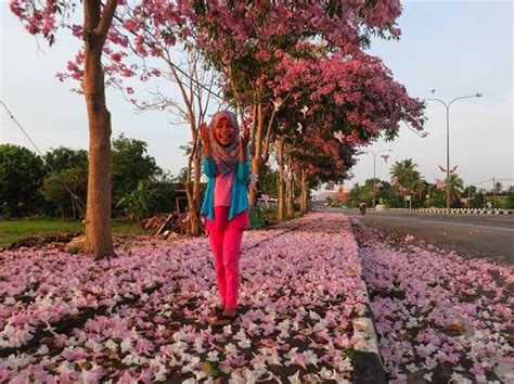 Bunga ini mekar di bulan april. ~cT ChEerY-Diary aku Manja~: Sakura Malaysia, Cantik baq ...