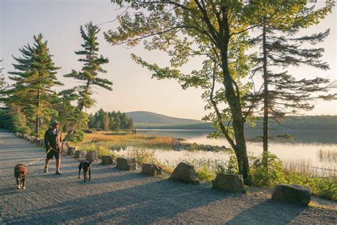 5 Must Do Activities In Acadia National Park Follow Your