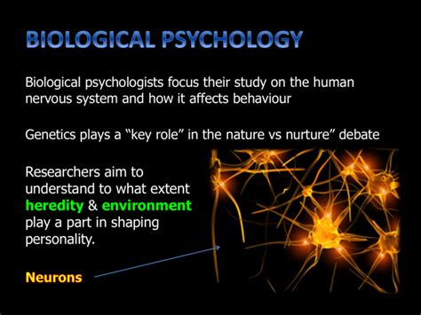 Day 6 Biological Psychology