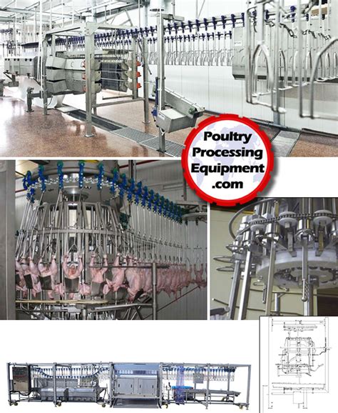 Meyn Poultry Processing Equipment Systems And Factory Development