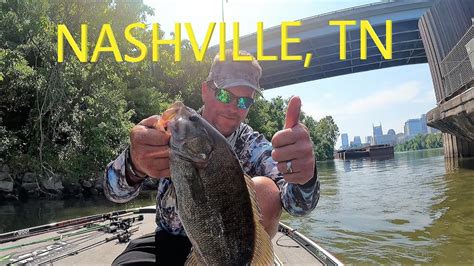 Downtown Nashville Smallmouth Fishing On The Cumberland River Some
