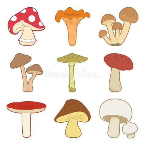 Colorful Mushrooms Vector Set Vector Illustration Stock Illustration
