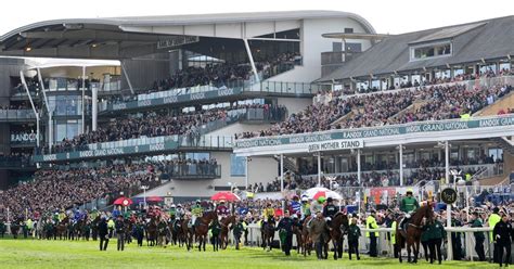 Grand National Sweepstake Kit 2023 Print Our Free