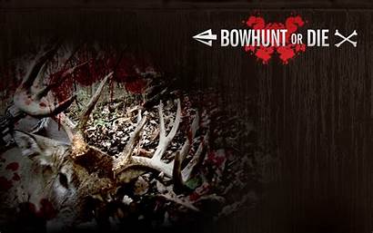 Hunting Bow Bowhunting Desktop Deer Wallpapertip