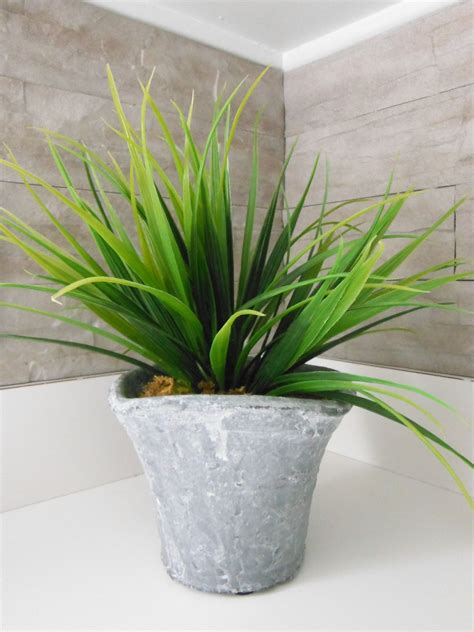 How to id a flowering plant. Flowering Plants Vs. Non-flowering Plants - Gardenerdy