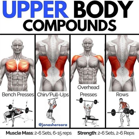 No Text With Images Upper Body Strength Chest And Tricep Workout Upper Body