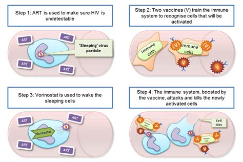 If hiv is not treated, it can lead to aids (acquired immunodeficiency syndrome). VIRAL RIVER | venitism