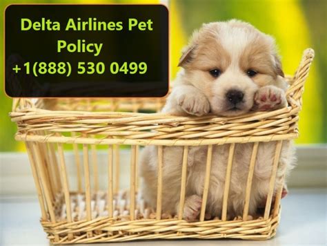 No charge for service animals. Delta Airlines Pet Policy and Reservations