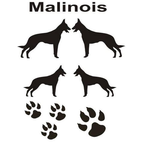 Das gerücht, dass die schwarzen malinois ihre farbe der einkreuzung eines schwarzen deutschen schäferhundes verdanken ist unsinn, da die farbe schwarz beim dsh rezessiv vererbt wird. Malinois 12 Aufkleber in eigener Farbe & Größe by ANFALAS