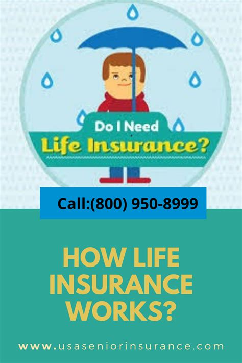 Why Is Life Insurance More Expensive For Males Honest Advice And Sample