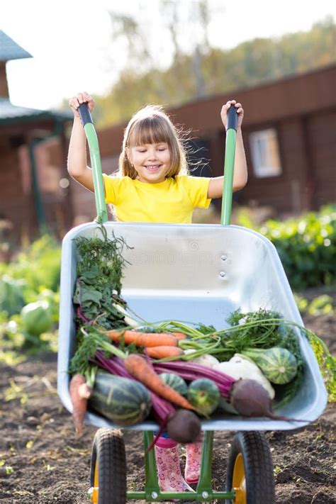 Happy Child With A Wheelbarrow Filled Vegetables Stock Image Image Of