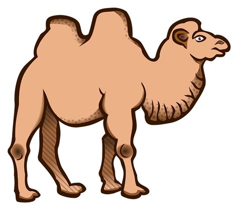 Bactrian Camel Clipart Free Download Transparent Png Creazilla