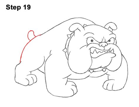How To Draw A Bulldog Cartoon